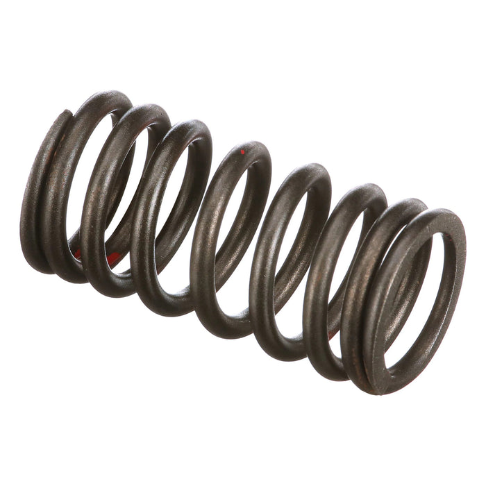 TN85A VALVE SPRING