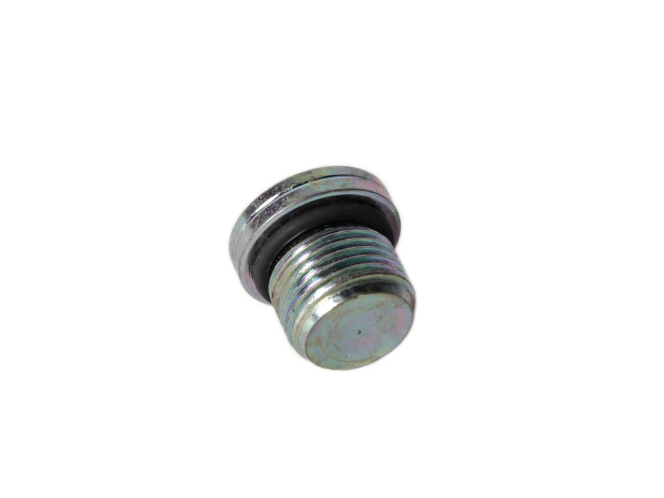 TN95A HEX SOCKET PLUG