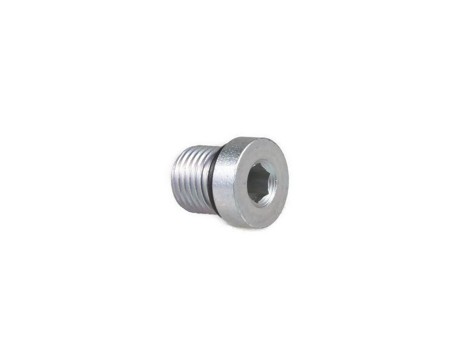 TN95A HEX SOCKET PLUG